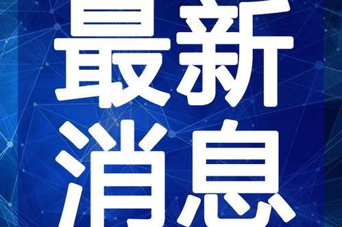 于強最新爆料虎哥視頻在線觀看,于強獨家揭秘，精彩內容在線觀看