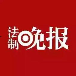 仙鱼最新爆料新闻,最新仙鱼爆料新闻深度解析